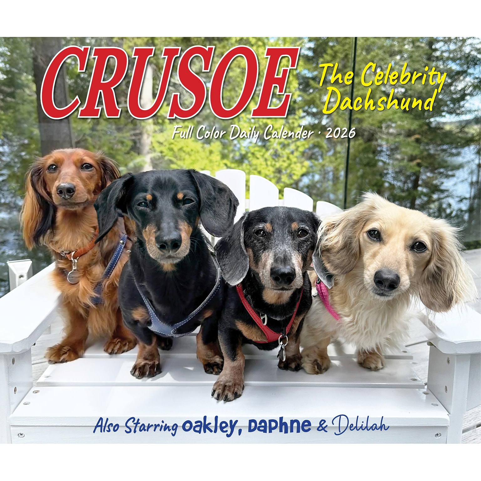 2026 Willow Creek Crusoe the Celebrity Dachshund 6.2 x 5.4 Day-to-Day Calendar (54086)