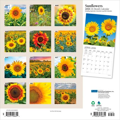 2026 Plato Sunflowers 12 x 12 Monthly Wall Calendar (9798330706655)
