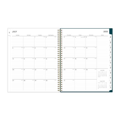 2025-2026 Blue Sky Greta 8.5" x 11" Weekly & Monthly Planner, Plastic Cover, Multicolored (136479-A26)