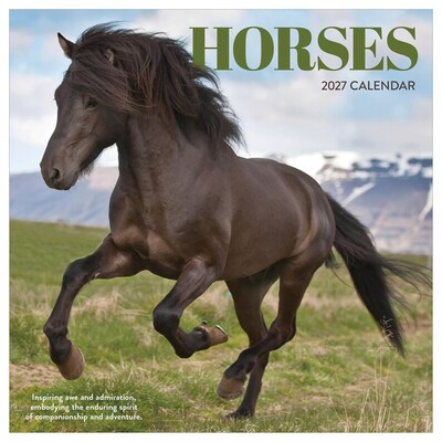 2027 TF Publishing Horses 12 x 12 Monthly Wall Calendar (27-1012)