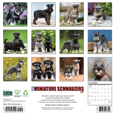 2027 Willow Creek Miniature Schnauzers 12 x 12 Monthly Wall Calendar, Assorted Colors (61220)