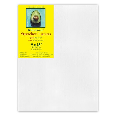 Strathmore 300 Series Primed Gallery Stretched Canvas, 9x12 inch, Pack of 3 (STT31409-3)