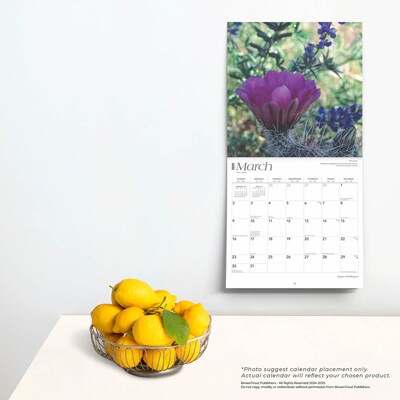 2025 BrownTrout Desert Wildflowers 12" x 12" Monthly  Wall Calendar (9781975476014)