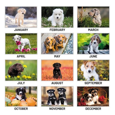 2027 AT-A-GLANCE Puppies 21.75" x 17" Monthly Desk Pad Calendar (DMD166-32-27)