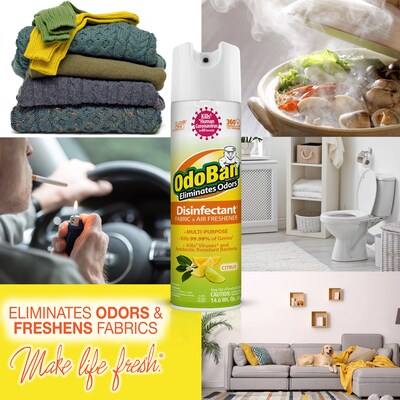 OdoBan Ready to Use Disinfectant Air Freshener & Deodorizer Spray, 14.6 oz., Citrus Scent (910601-14A)