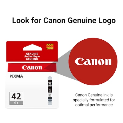 Canon 42 Gray Standard Yield Ink Cartridge (6390B002)