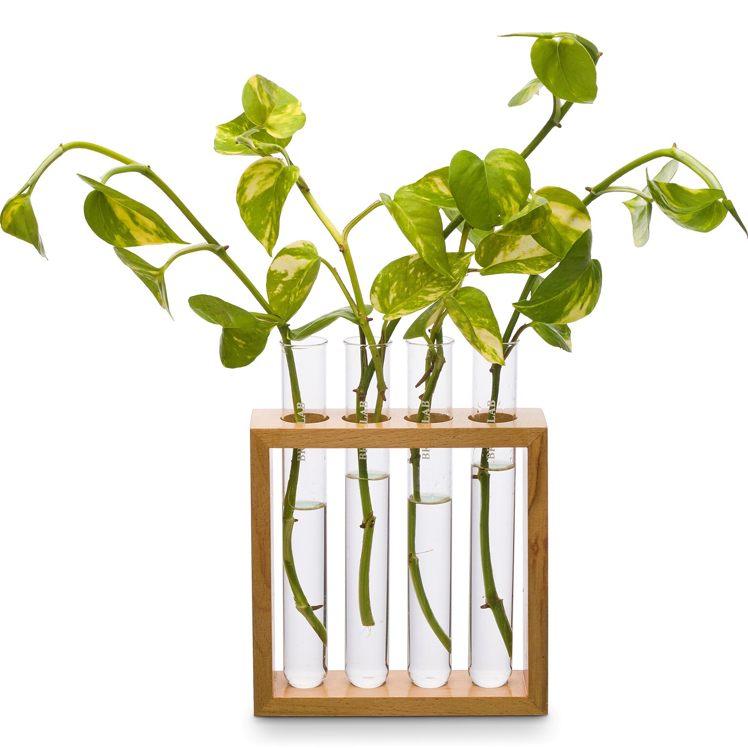 Supertek Square Plant Holder (SKFBLSP1003B)