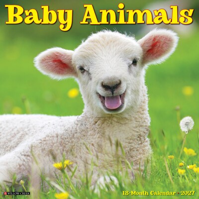 2027 Willow Creek Baby Animals 12 x 12 Monthly Wall Calendar (58954)