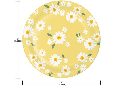 Creative Converting Sweet Daisy Party Plates and Napkins Kit, Yellow/White (DTC9128E2G)