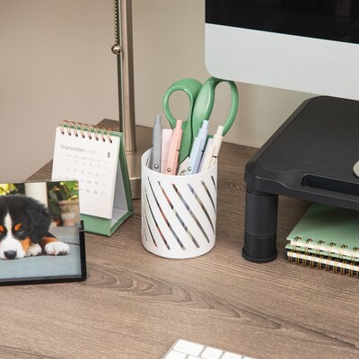 Mind Reader Metal Pen Holder, White (SLCUP-WHT)