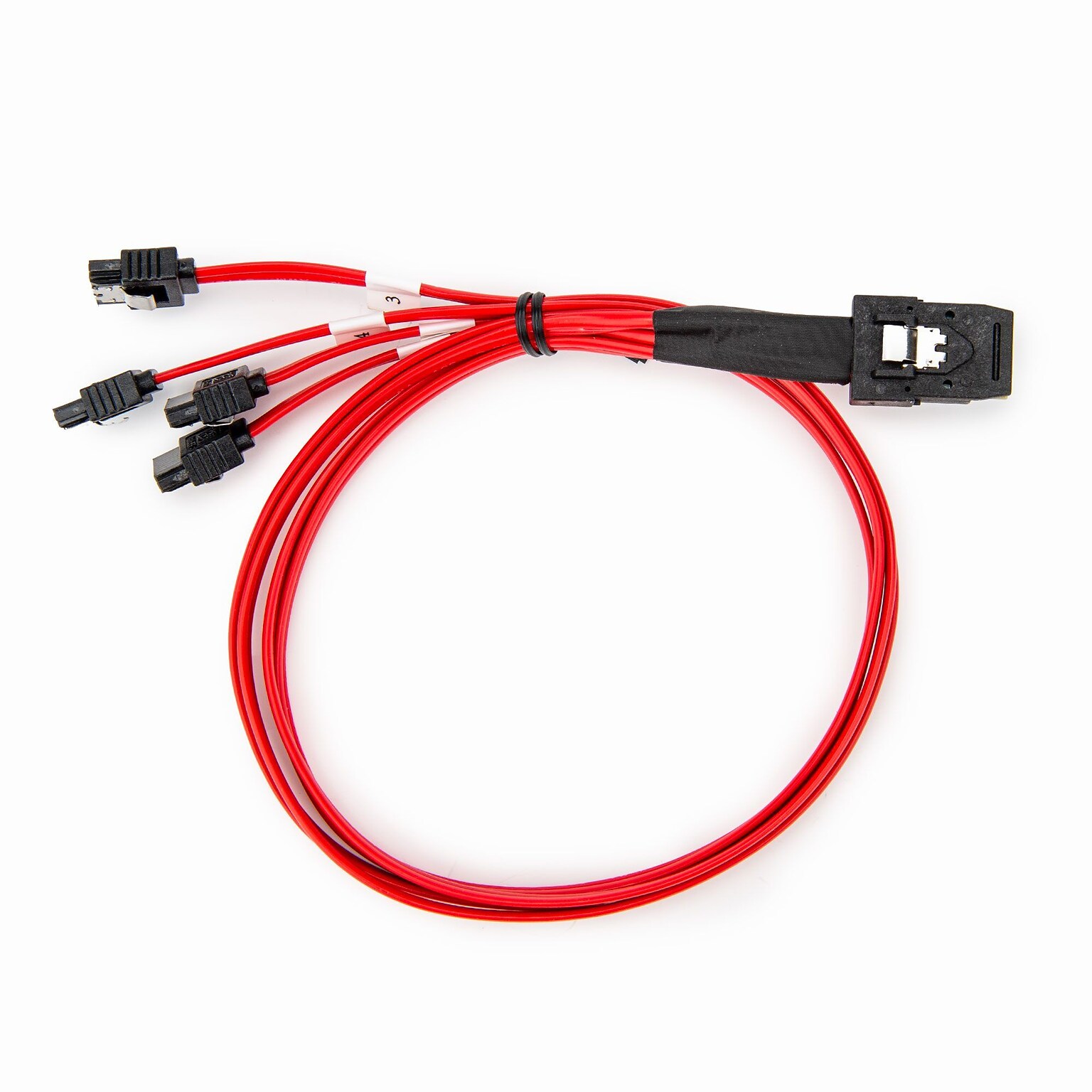 Rocstor 1.64 SFF-8087 to SATA 3.0 Data Cable, Male to Male, Red (Y10C873-RD)