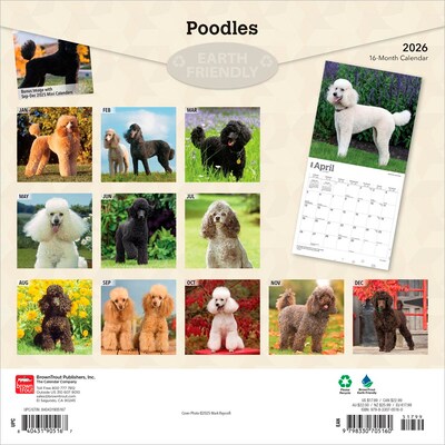 2026 BrownTrout Poodles 12 x 12 Monthly Wall Calendar (9798330705160)