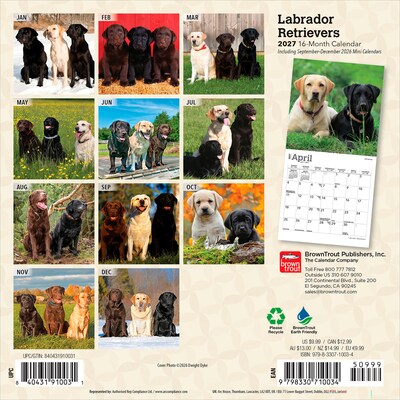 2027 BrownTrout Labrador Retrievers 7 x 7 Monthly Wall Calendar (9798330710034)