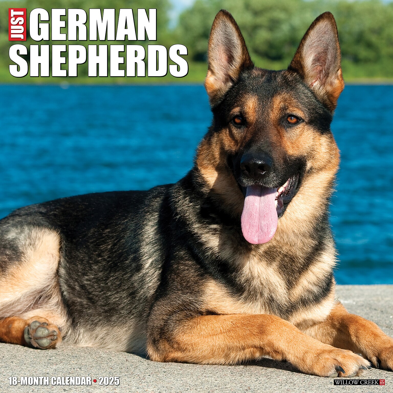 2025 Willow Creek German Shepherds 12 x 12 Yearly Wall Calendar (43028)
