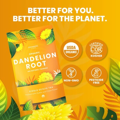 Cederberg Tea Company Organic Dandelion Root Herbal Tea, Caffeine Free, 100 Tea Bags/Pack (CT-DAND)
