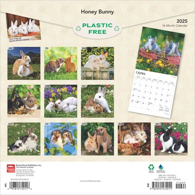 2025 BrownTrout Honey Bunny 12 x 12 Monthly Wall Calendar (9781975474911)