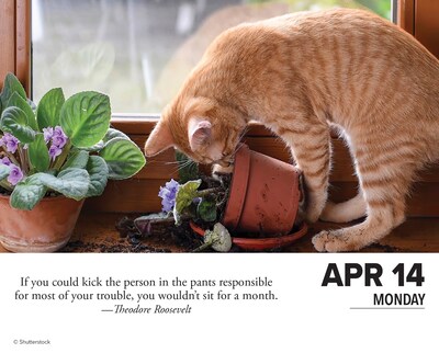 2025 Willow Creek Bad Kitties 6.2" x 5.4" Day-to-Day Calendar (40638)