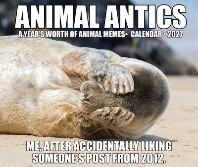2027 Willow Creek Animal Antics 6.2" x 5.4" Daily Day-to-Day Calendar, Assorted Colors (63224)