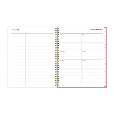 2025-2026 Blue Sky Roosevelt 8.5" x 11" Academic Year Weekly & Monthly Planner, Plastic Cover, Multicolored (128691-A26)
