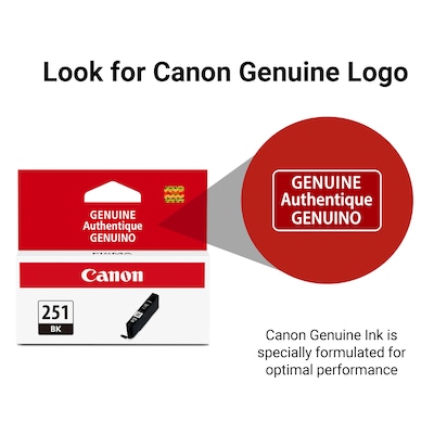 Canon 251 Black Standard Yield Ink Cartridge  (6513B001)