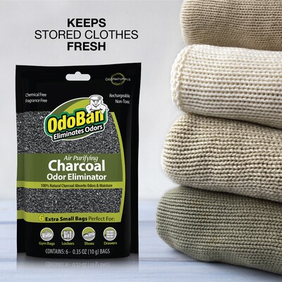 OdoBan Air Purifying Charcoal Deodorizer Solid, 6/Pack (9760A61-10M6P)