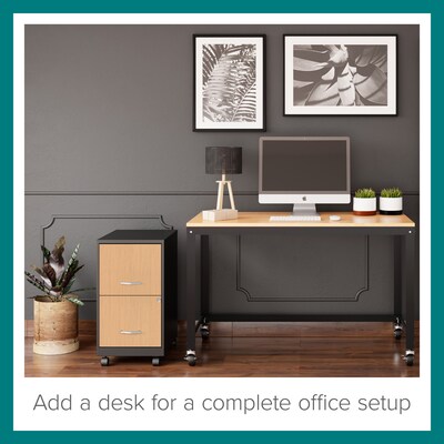 Space Solutions 2-Drawer Mobile File Cabinet, Letter Size, Lockable, 26.7"H x 14.25"W x 18"D, Black/Platinum Oak (25855)