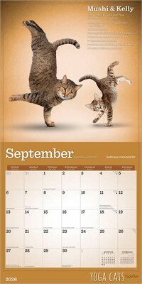 2026 Plato Yoga Cats Together 12" x 12" Monthly Wall Calendar (9798330701926)