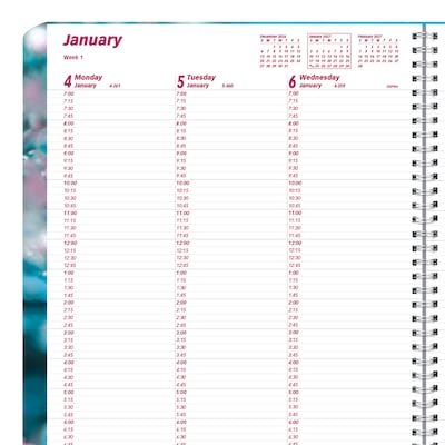 2027 Brownline Nature Cherry Blossoms 8.5" x 11" Weekly Appointment Book (CB950G.03-27)