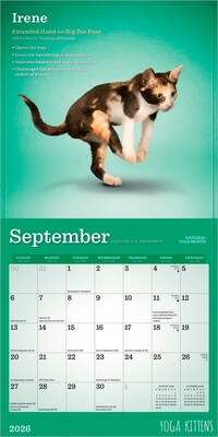 2026 BrownTrout Yoga Kittens 7" x 7" Monthly Wall Calendar (9798330701940)