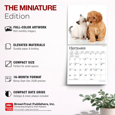 2027 BrownTrout Kittens & Puppies 7" x 7" Monthly Wall Calendar (9798330709724)