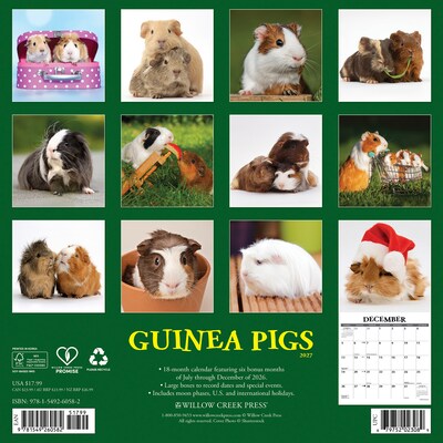 2027 Willow Creek Guinea Pigs 12 x 12 Monthly Wall Calendar (60582)
