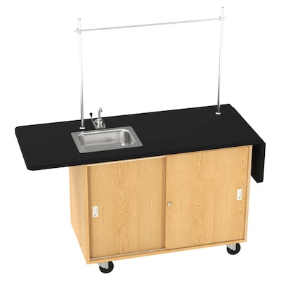 Diversified Woodcrafts Mobile Science Laboratory Rectangular Demo Unit, 48 x 24, Black (4121K)