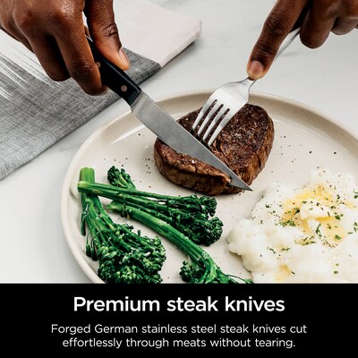 Ninja Foodi NeverDull Premium K32017 Premium Knife Set, 17 Pieces (K32017)