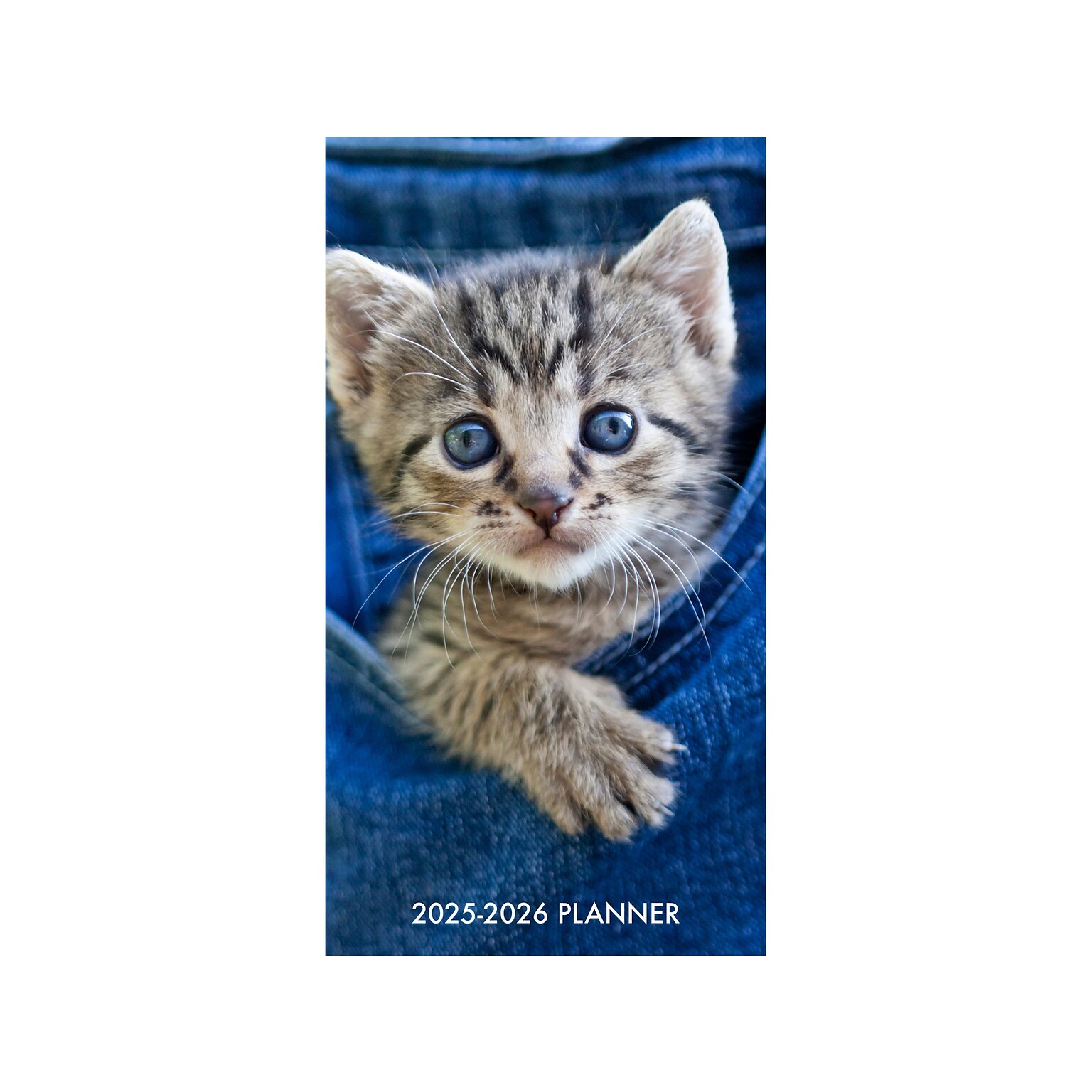 2025-2026 Willow Creek Cute As a Kitten 3.5 x 6.5 Monthly Planner, Paper Cover, Blue/Gray (46944)