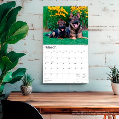 2026 BrownTrout For the Love of German Shepherds 14" x 12" Monthly Wall Calendar (9798330703395)