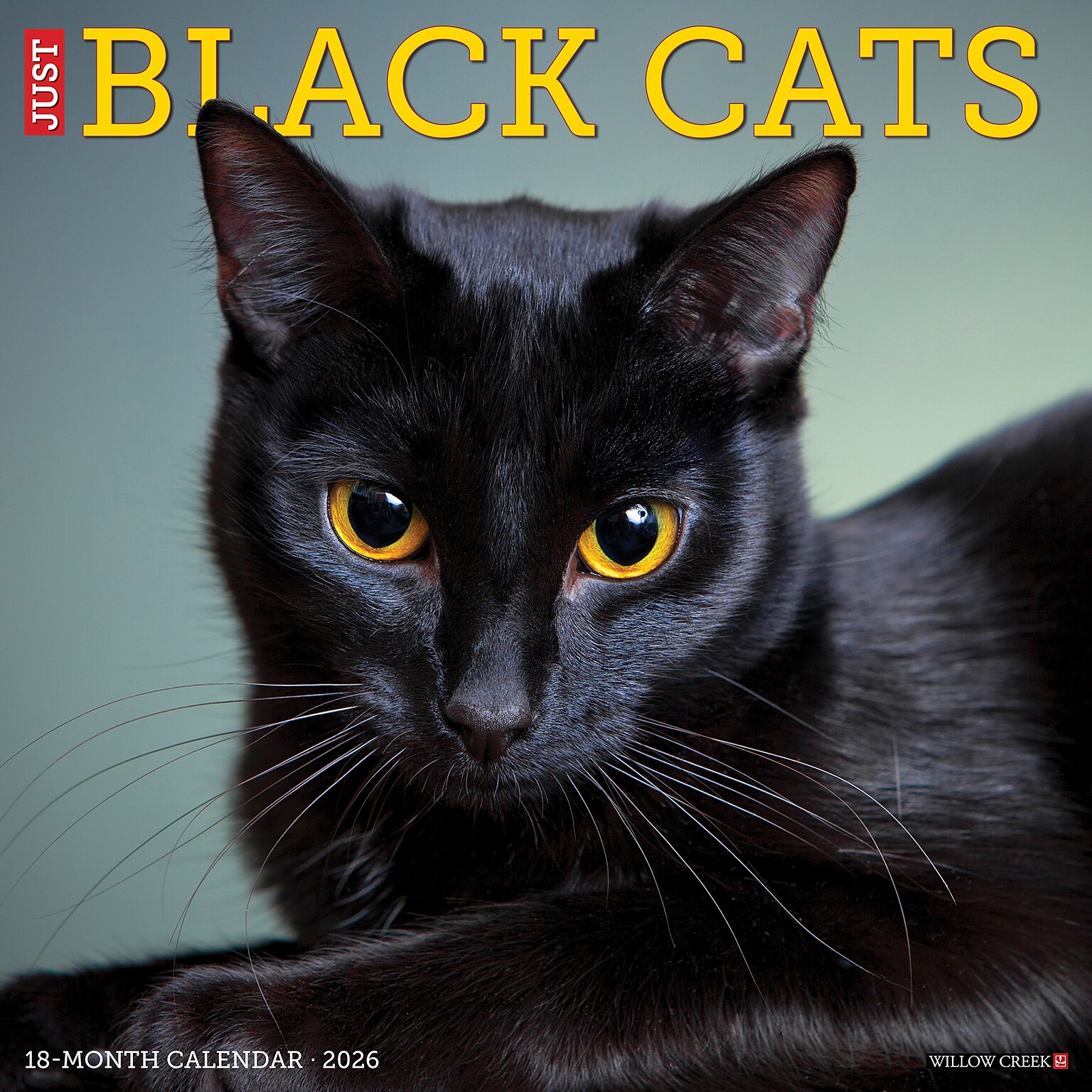 2026 Willow Creek Black Cats 12 x 12 Monthly Wall Calendar (50286)