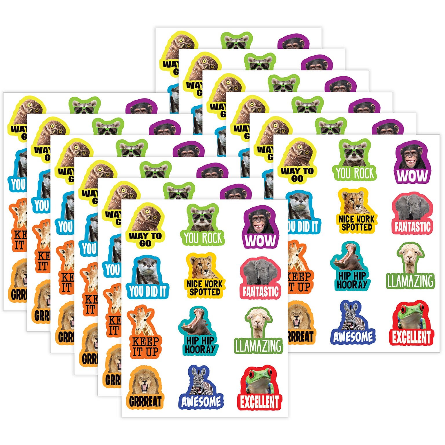 Teacher Created Resources Go Wild Animals Stickers, 72/Pack, 12 Packs/Bundle (TCR6855-12)