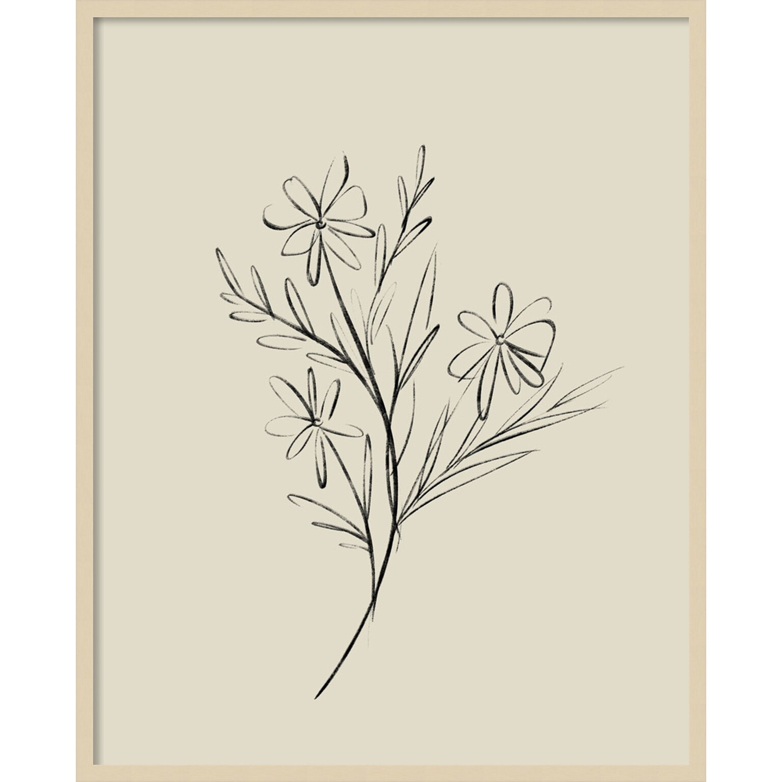 Amanti Art Line Drawn Flowers 1 by Border Bloom Wood Framed Wall Art Print, 33 x 41 (A42677449910)