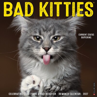 2027 Willow Creek Bad Kitties 12 x 12 Monthly Wall Calendar (58992)
