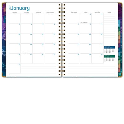 2027 Excello Brands 9" x 11" Weekly & Monthly Standard Planner, Paperboard Cover, Summer Bliss (FSHN-CY27-8511-73)