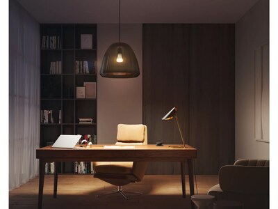 Philips Hue 100W Equivalent A21 LED Smart Bulb, Soft Warm White  (580845)