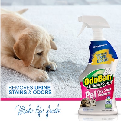 OdoBan Pet Solutions Laundry Stain Remover, 32 oz. (961561-Q6)