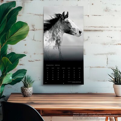 2026 BrownTrout The BrownTrout Portrait Series: The Noble Horse 12" x 12" Monthly Wall Calendar (9798330703753)