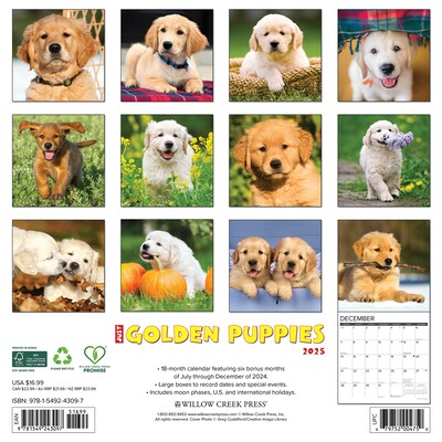 2025 Willow Creek Just Golden Puppies 12 x 12 Monthly Wall Calendar (43097)