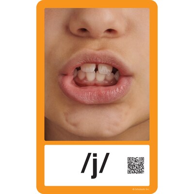 Scholastic Teaching Solutions Articulation Cards (SC-749897)