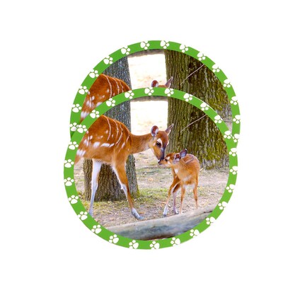 MOJO Seek and Peek Mommy and Me Memory Match (MJ-810002)