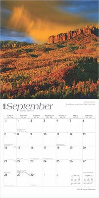 2025 BrownTrout Colorado Wild & Scenic 12" x 24" Monthly Square Wall Calendar (9781975474713)