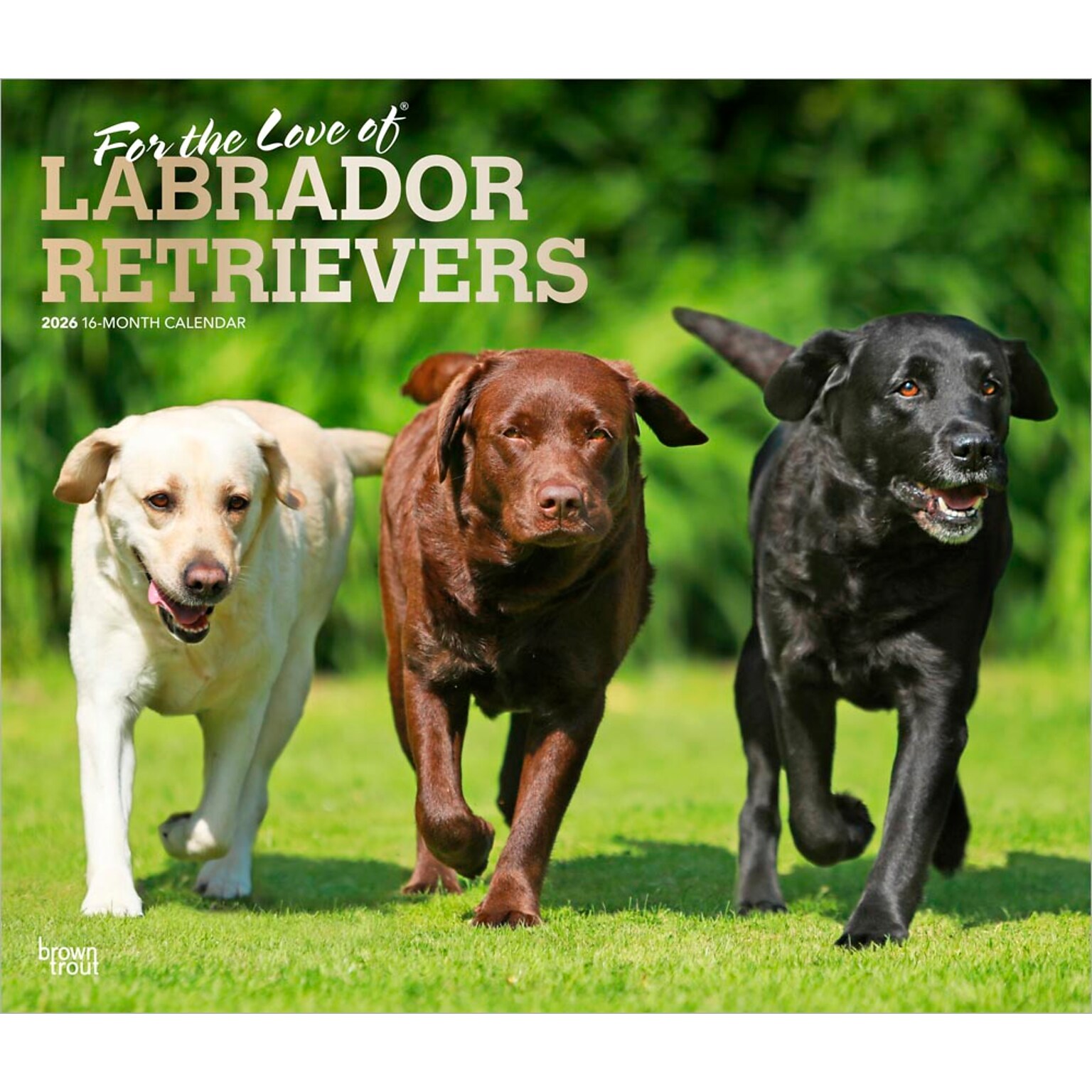 2026 BrownTrout For the Love of Labrador Retrievers 14 x 12 Monthly Wall Calendar (9798330707164)