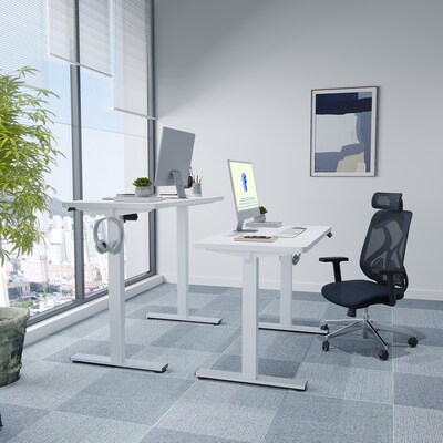 FlexiSpot E2 48''W Electric Adjustable Standing Desk, White (E2W4824W)