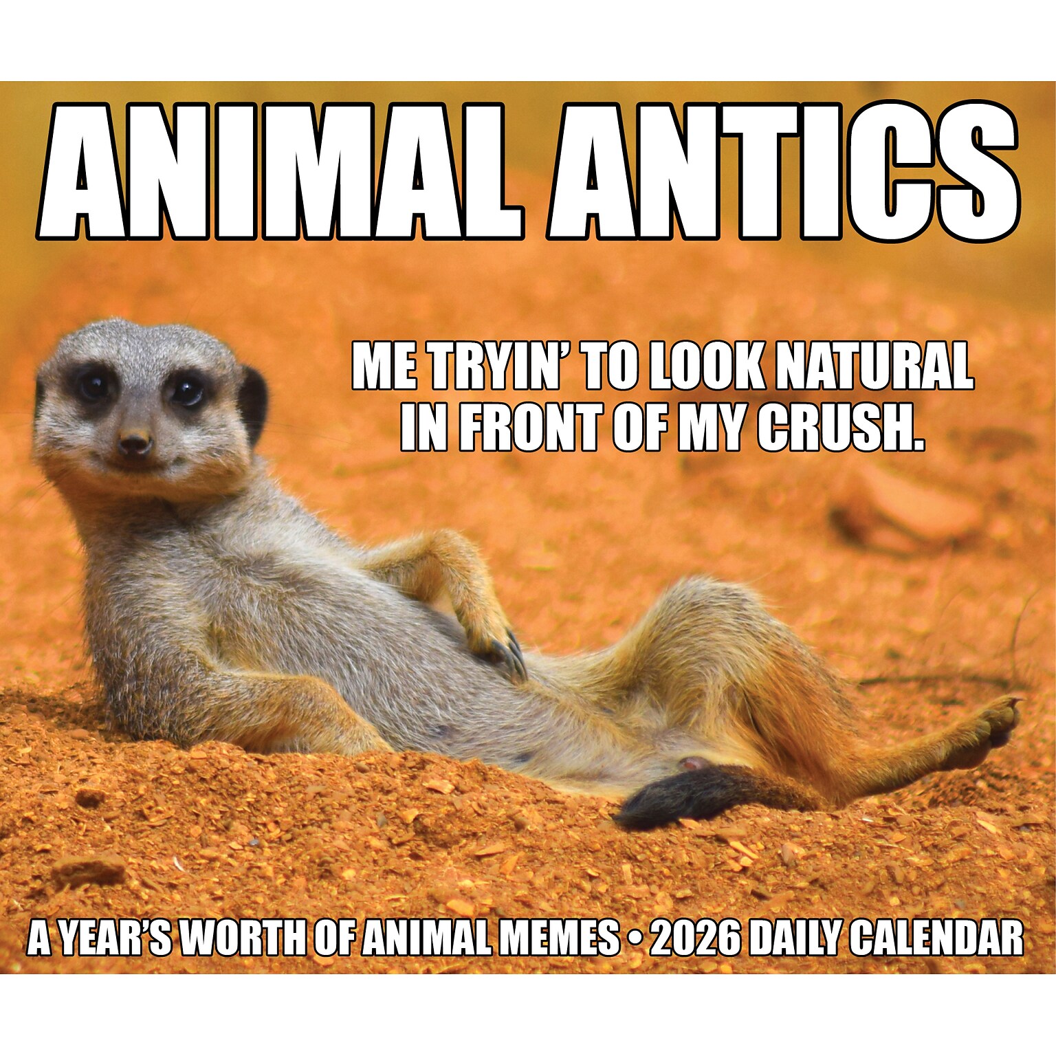 2026 Willow Creek Animal Antics 6.2 x 5.4 Day-to-Day Calendar (55137)